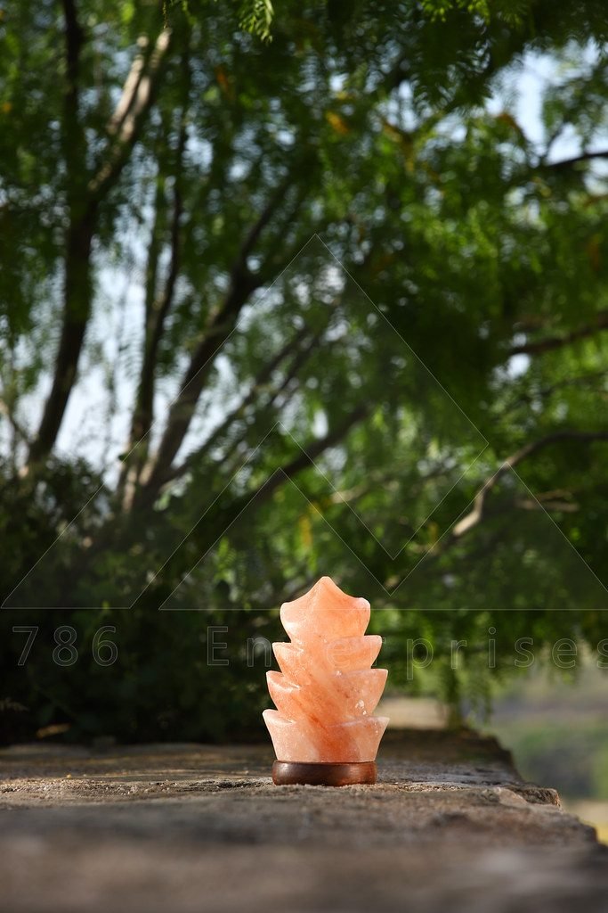 SALT LAMP