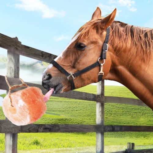 Animal Salts Licks