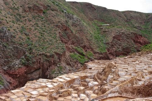 Bulk Export — Himalayan salt