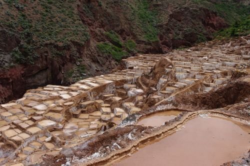 Bulk Export — Himalayan salt